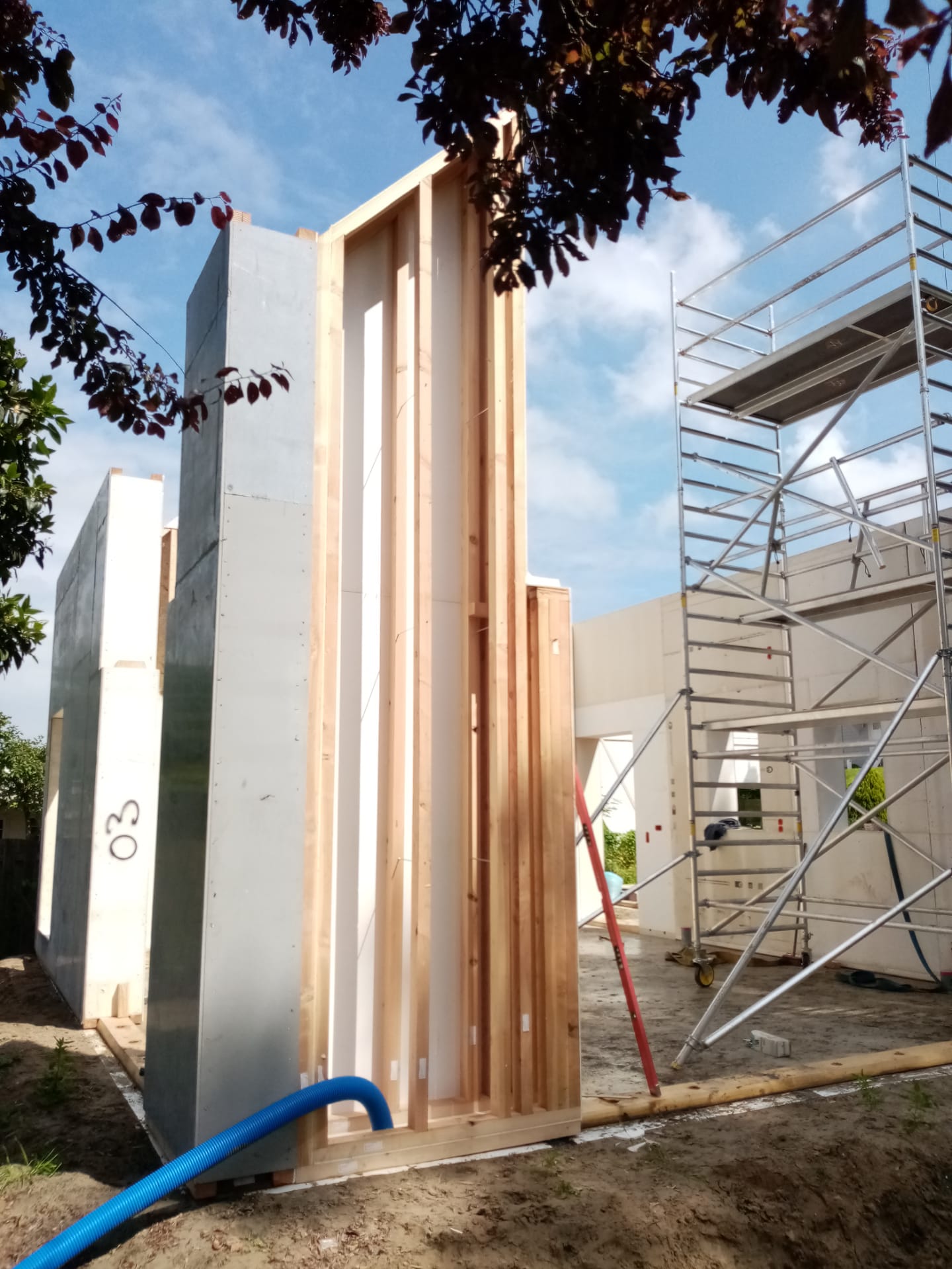Netherlands build